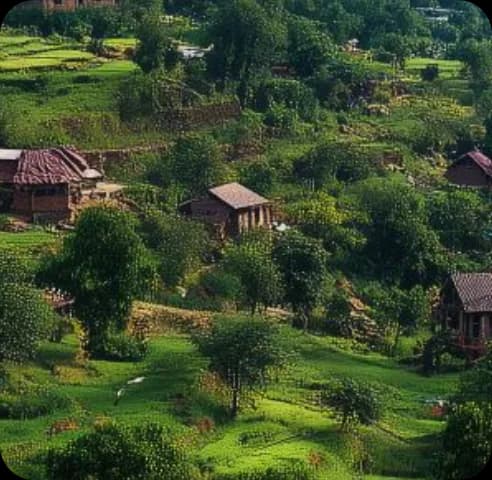 Terraced grounds at sunset